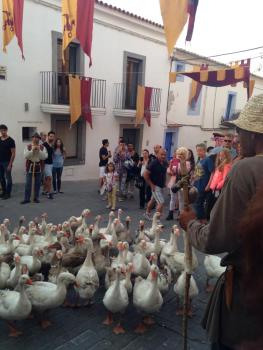 11263865_10152749047521433_1845777860_n