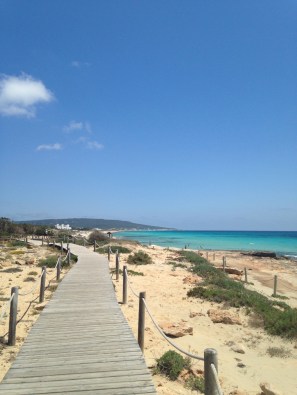 11280273_10152795960191433_1461427269_o