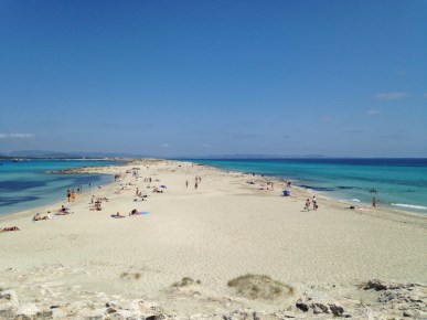 11288425_10152795964491433_1942852964_o