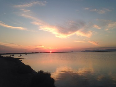 11419962_10152795979551433_539880049_o