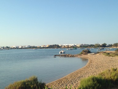 11420276_10152795979631433_1965772836_o