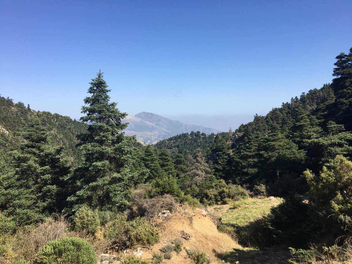 Sierra de las Nieves