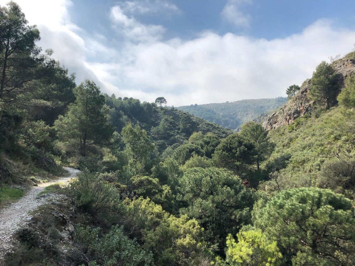 Cómpeta & La Axarquía