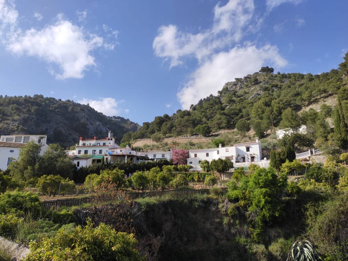 Alozaina, Jorox & Burgo